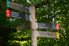 Bergischer-Panoramasteig-–-Etappe-1-1-von-21