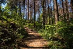 Bergischer-Panoramasteig-–-Etappe-1-10-von-21