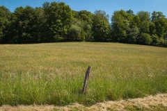 Bergischer-Panoramasteig-–-Etappe-1-12-von-21