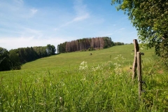 Bergischer-Panoramasteig-–-Etappe-1-13-von-21