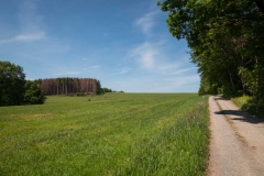 Bergischer-Panoramasteig-–-Etappe-1-14-von-21