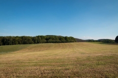 Bergischer-Panoramasteig-–-Etappe-1-21-von-21