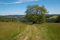 Bergischer-Panoramasteig-–-Etappe-1-7-von-21