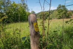 Bergischer-Panoramasteig-–-Etappe-1-8-von-21