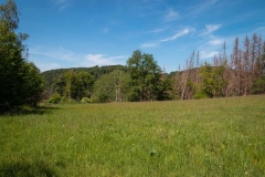 Bergischer-Panoramasteig-–-Etappe-1-9-von-21