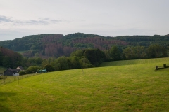Bergischer Panoramasteig - Etappe 2 | Morgentlicher Blick über die Felder