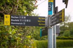Bergischer Panoramasteig - Etappe 2 | Auf nach Biesfeld
