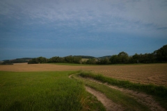 Bergischer Panoramasteig - Etappe 2 | Unterwegs auf Feldwegen