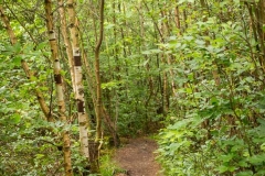 Bergischer Panoramasteig – Etappe 3
