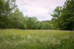 Bergischer Panoramasteig – Etappe 3