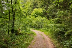 Bergischer Panoramasteig – Etappe 3