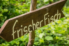 Bergischer Panoramasteig – Etappe 3