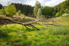 Bergischer Panoramasteig – Etappe 3 | Knochenmühle