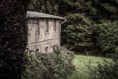 Bergischer Panoramasteig – Etappe 3 | Knochenmühle