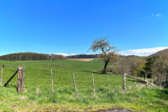 EifelSchleife Freilinger See