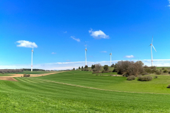 EifelSchleife Freilinger See