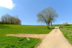EifelSchleife Freilinger See