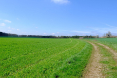 EifelSchleife Freilinger See