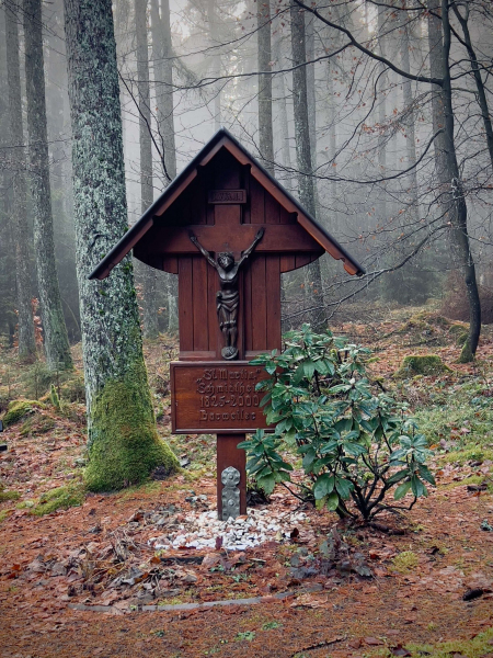 EifelSchleife Heidekopf