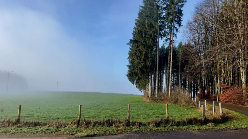 EifelSchleife Heidekopf