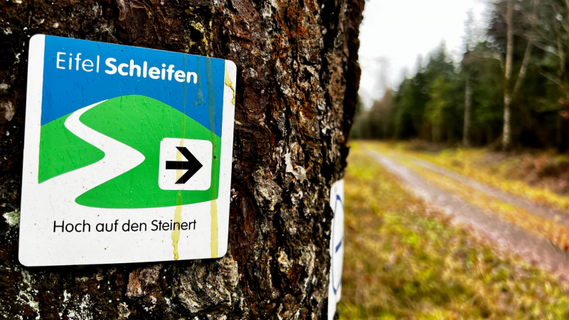 2022-12-26-EifelSchleife-Hoch-auf-den-Steinert_37