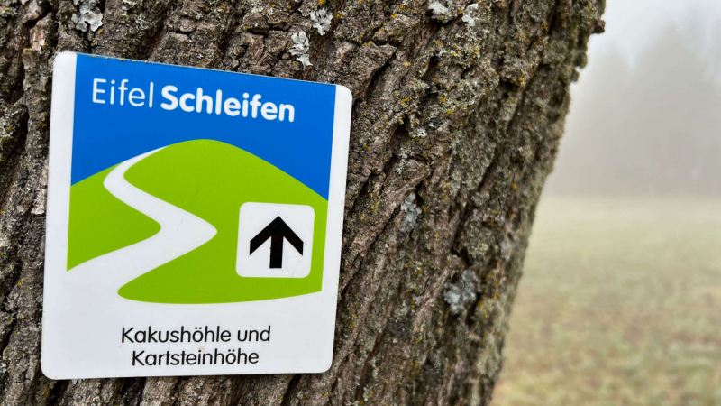 2023-03-03-EifelSchleife-Kakushoehle-und-Kartsteinhoehe_59