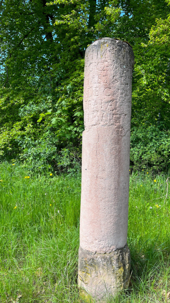 2023-05-19-Eifelschleife-Kuechenschellen-3