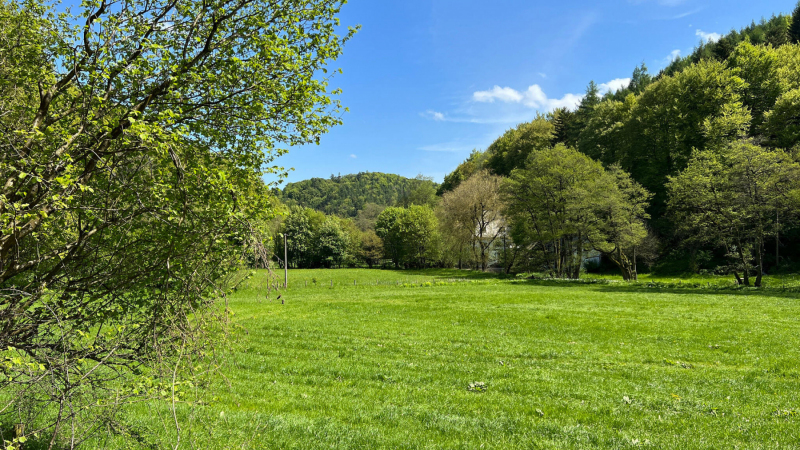 2023-05-19-Eifelschleife-Kuechenschellen-9
