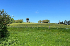 2023-05-19-Eifelschleife-Kuechenschellen-1