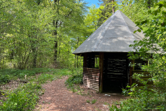 2023-05-19-Eifelschleife-Kuechenschellen-5