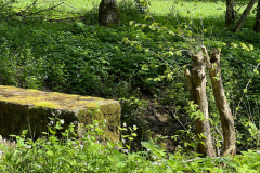 2023-05-19-Eifelschleife-Kuechenschellen-8