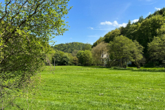 2023-05-19-Eifelschleife-Kuechenschellen-9