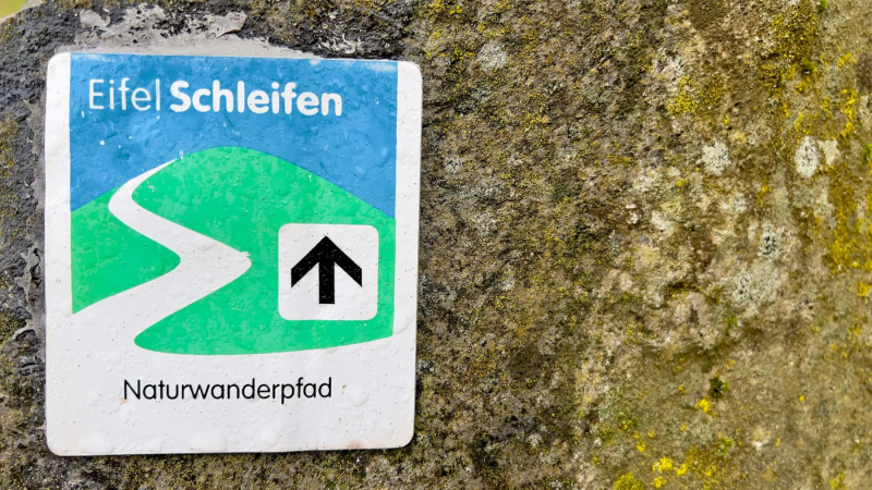 EifelSchleife-Naturwanderpfad-02