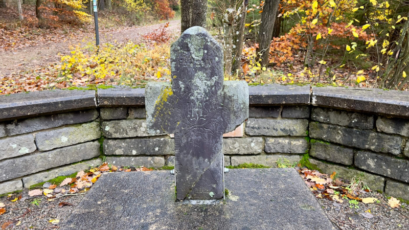 EifelSchleife-Naturwanderpfad-11