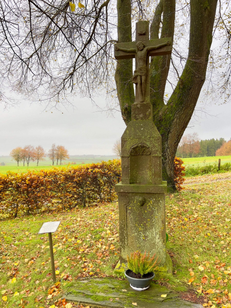 EifelSchleife-Naturwanderpfad-12