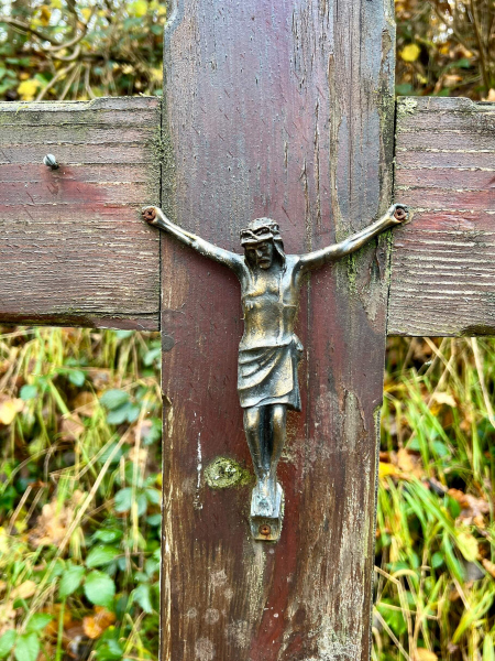 EifelSchleife-Naturwanderpfad-19