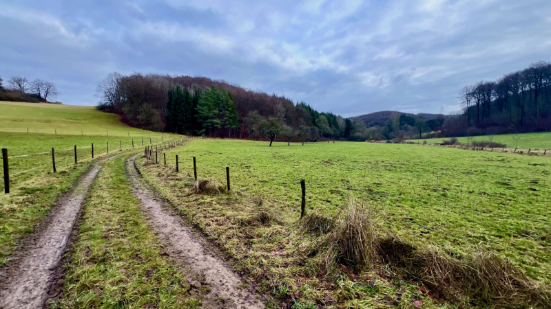 EifelSchleife-Quelle-der-Erft-05