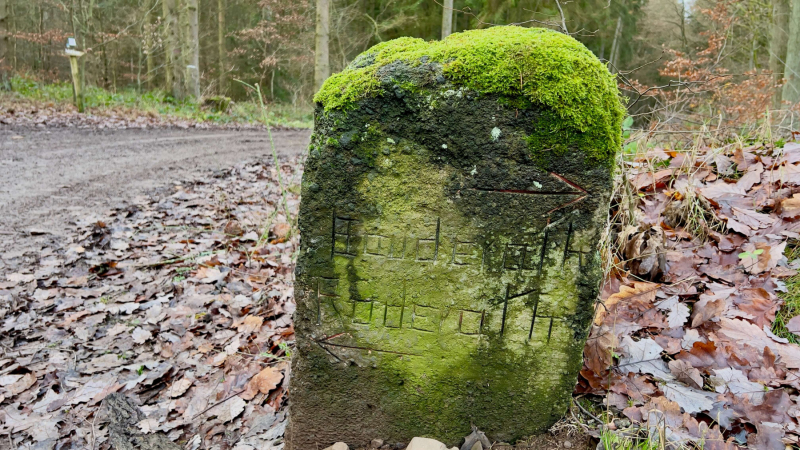 EifelSchleife-Quelle-der-Erft-08