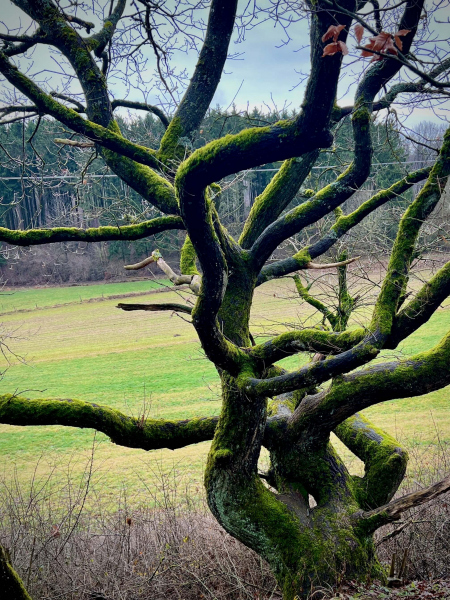 EifelSchleife-Quelle-der-Erft-28