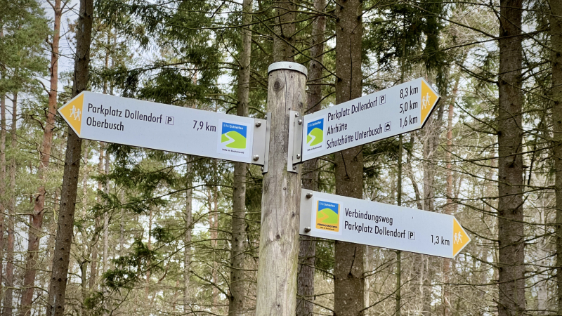 2023-02-Eifelschleife-Stille-im-Buchenwald_10
