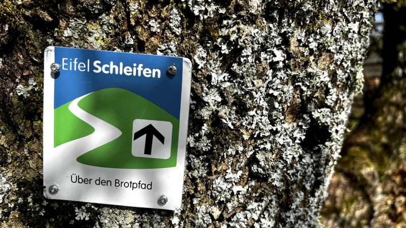 EifelSchleife Über den Brotpfad