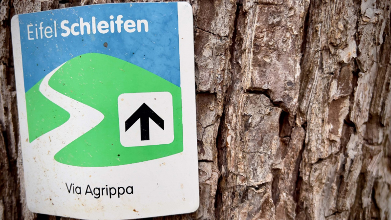 EifelSchleife-Via-Agrippa-05-scaled