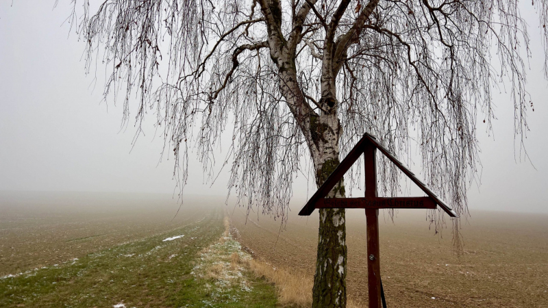 EifelSchleife-Via-Agrippa-11-scaled
