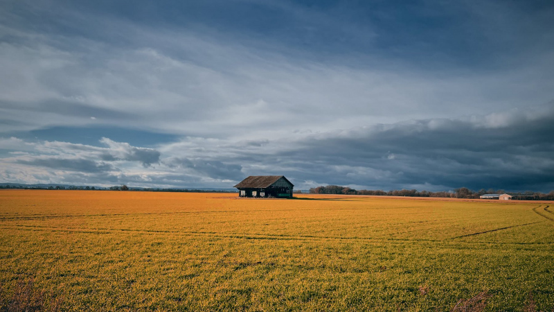 EifelSchleife Zum Bleibach