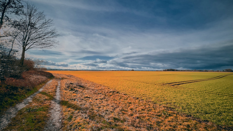 EifelSchleife Zum Bleibach