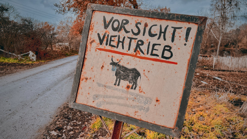 EifelSchleife Zum Bleibach