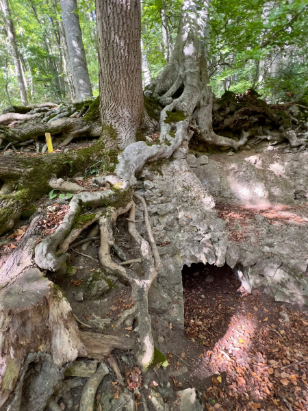 EifelSchleife-Zur-Zeit-der-Roemer-04