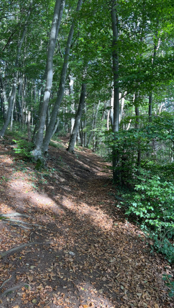 EifelSchleife-Zur-Zeit-der-Roemer-05