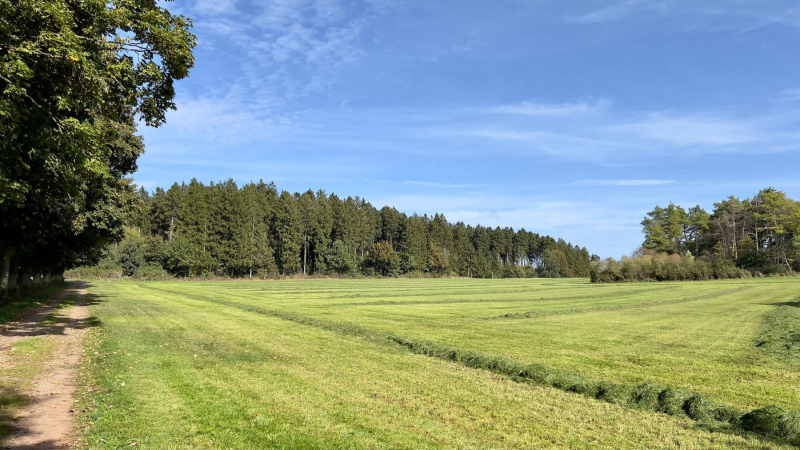 EifelSchleife-Zur-Zeit-der-Roemer-11