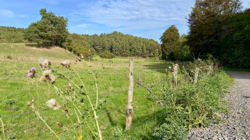 EifelSchleife-Zur-Zeit-der-Roemer-17